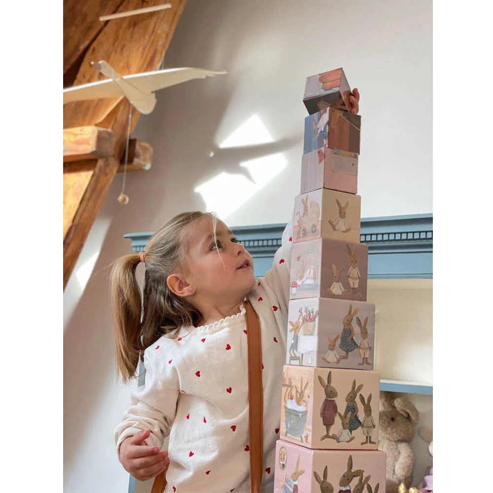 Egmont Toys Коробочки-пірамідки "Родина кролика"